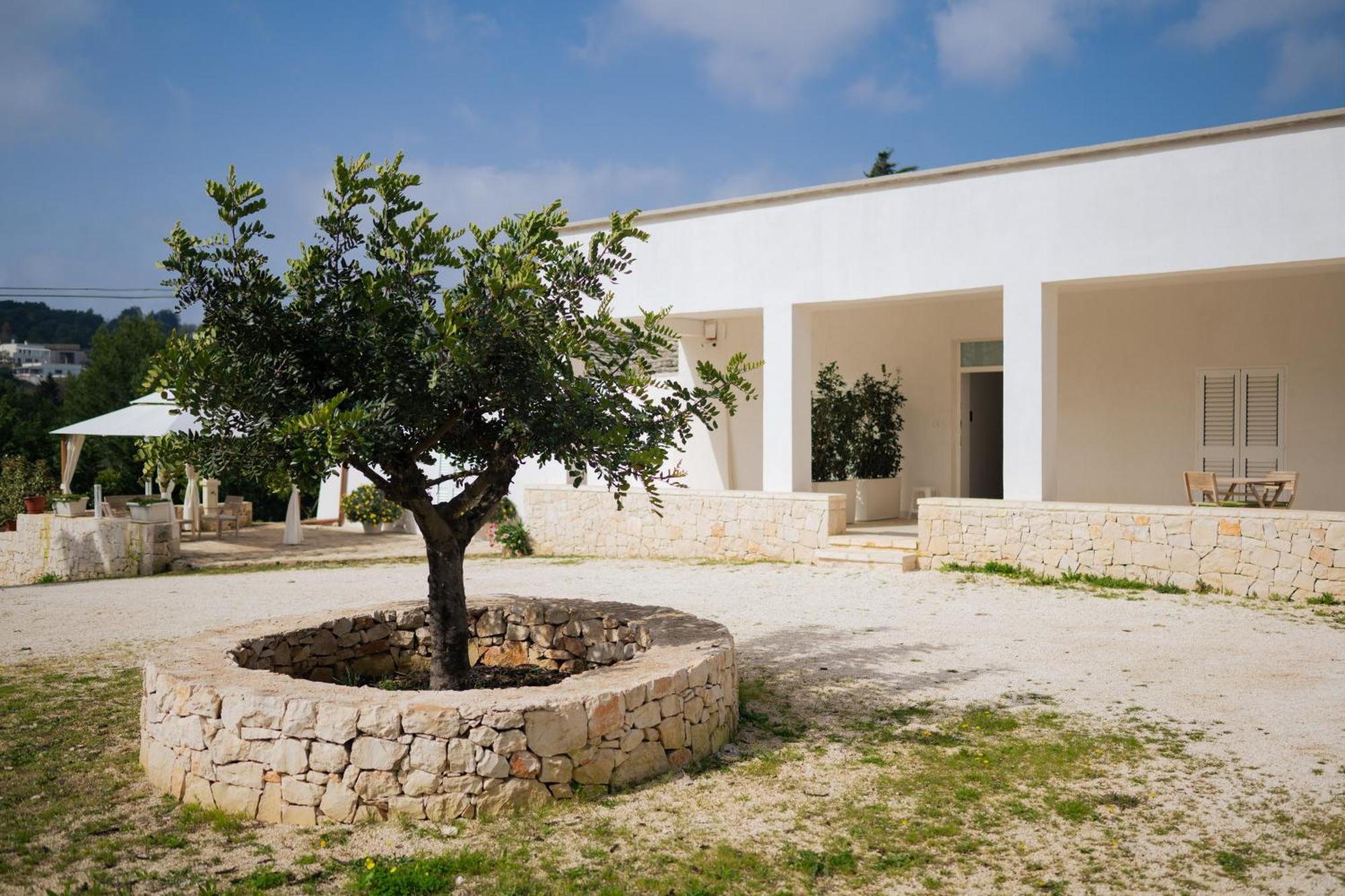 Trulli Magda Villa Martina Franca Eksteriør billede