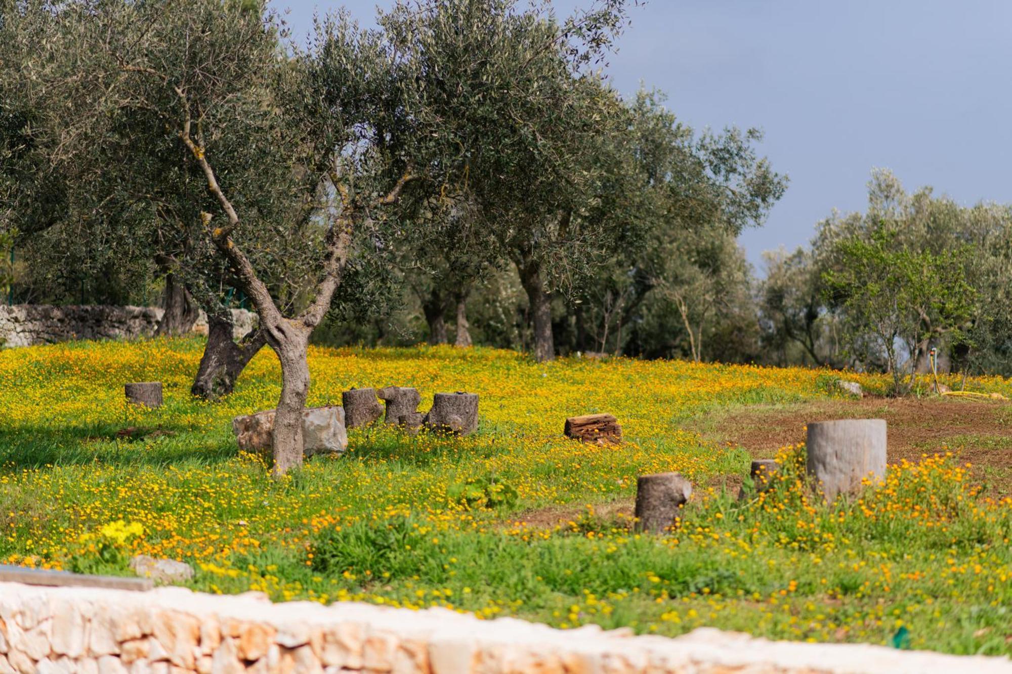 Trulli Magda Villa Martina Franca Eksteriør billede