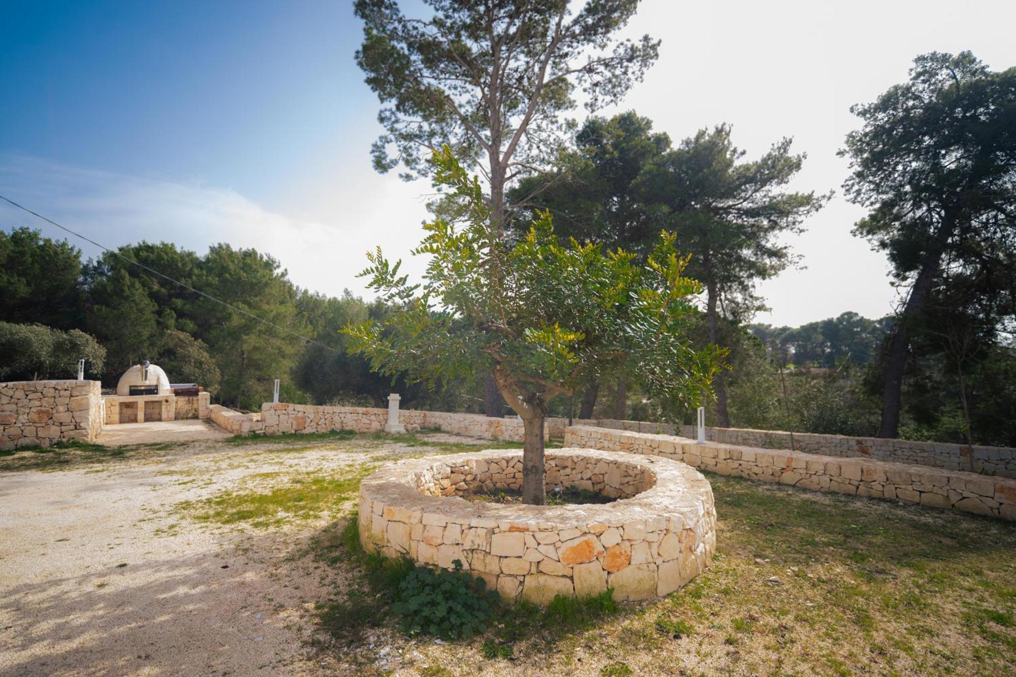 Trulli Magda Villa Martina Franca Eksteriør billede
