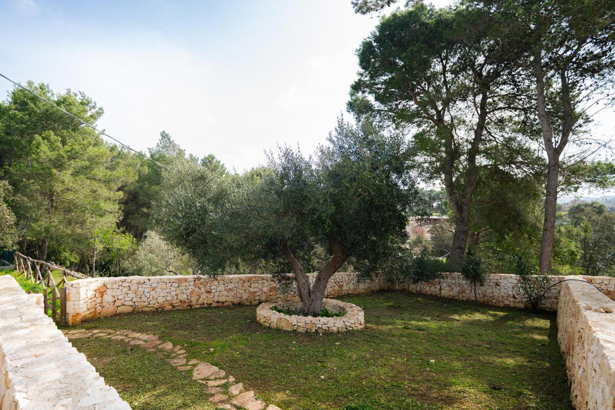 Trulli Magda Villa Martina Franca Eksteriør billede