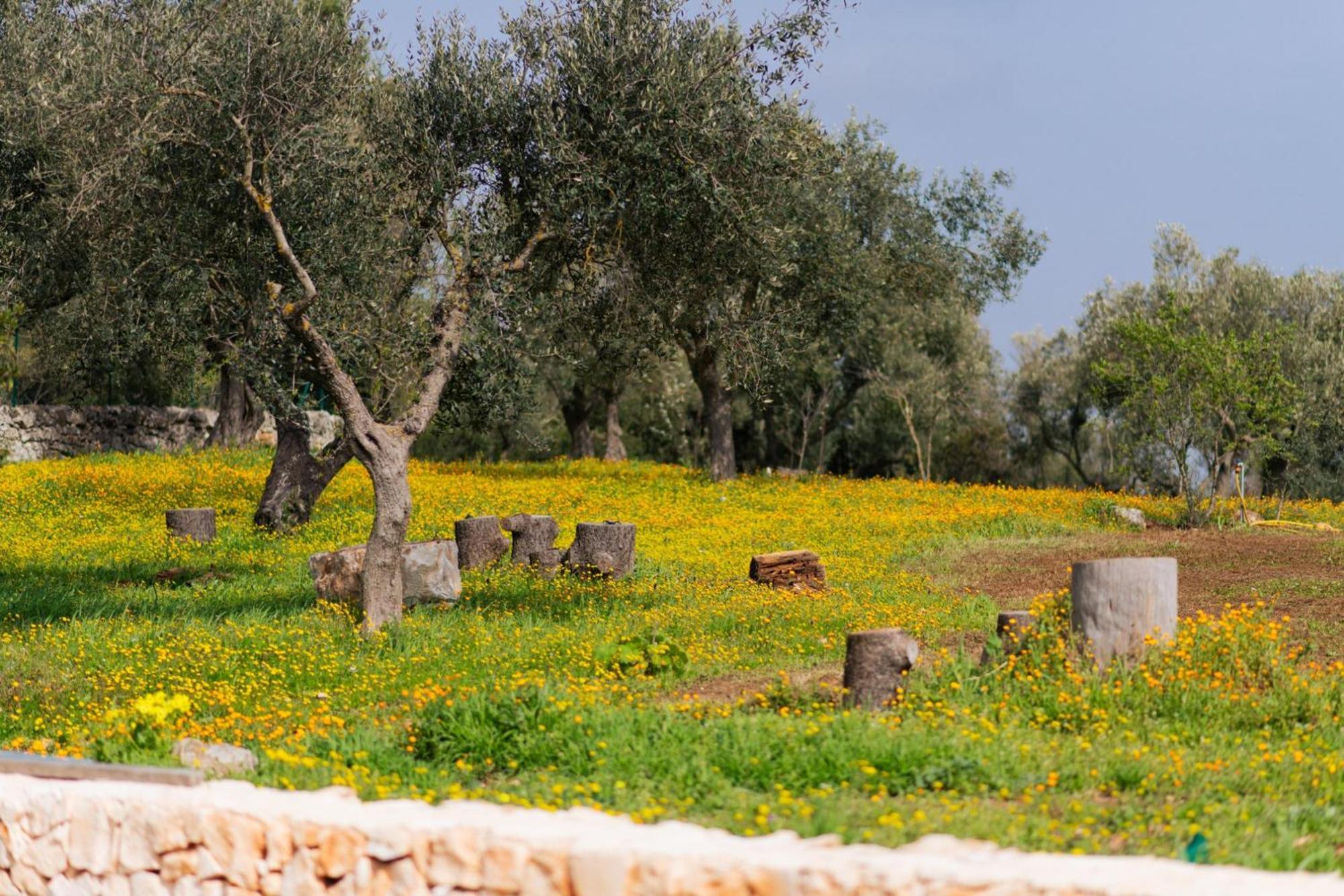 Trulli Magda Villa Martina Franca Eksteriør billede